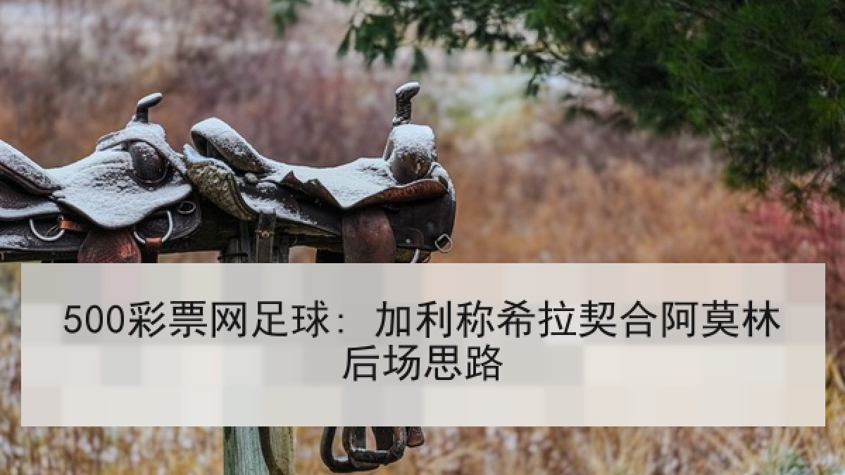500彩票网足球: 加利称希拉契合阿莫林后场思路 500彩票网足球: 加利称希拉契合阿莫林后场思路