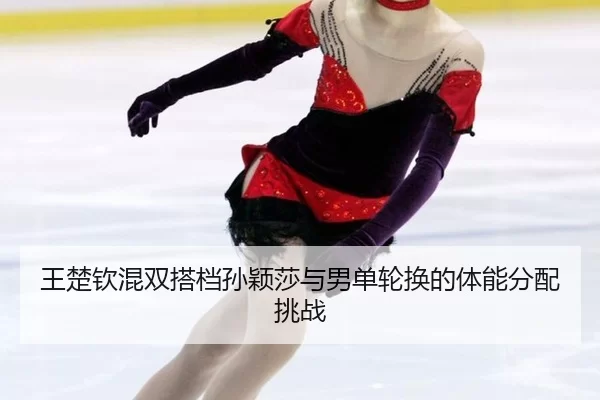wang-chu-qin-hun-shuang-da-dang-sun-ying-sha-yu-nan-dan-lun-huan-de-ti-neng-fen-pei-tiao-zhan-2-574.jpg