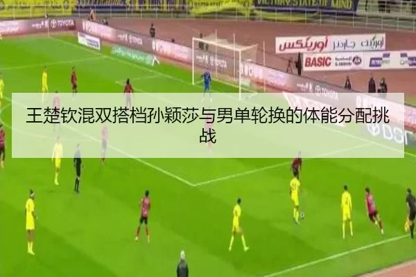 wang-chu-qin-hun-shuang-da-dang-sun-ying-sha-yu-nan-dan-lun-huan-de-ti-neng-fen-pei-tiao-zhan-3-840.jpg