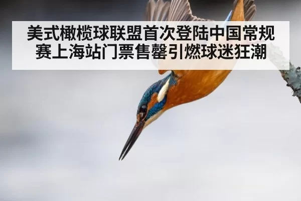 美式橄榄球联盟首次登陆中国常规赛上海站门票售罄引燃球迷狂潮