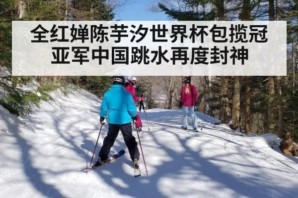 全红婵陈芋汐世界杯包揽冠亚军中国跳水再度封神